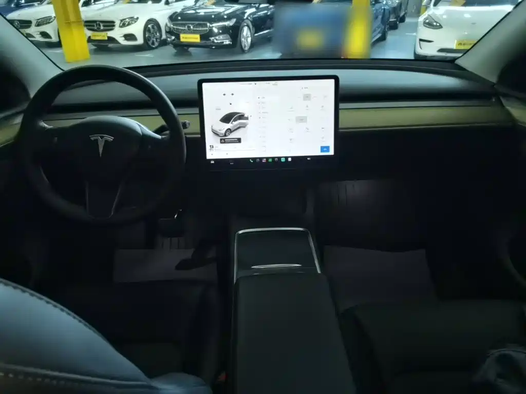 Tesla Model Y — миниатюра 10