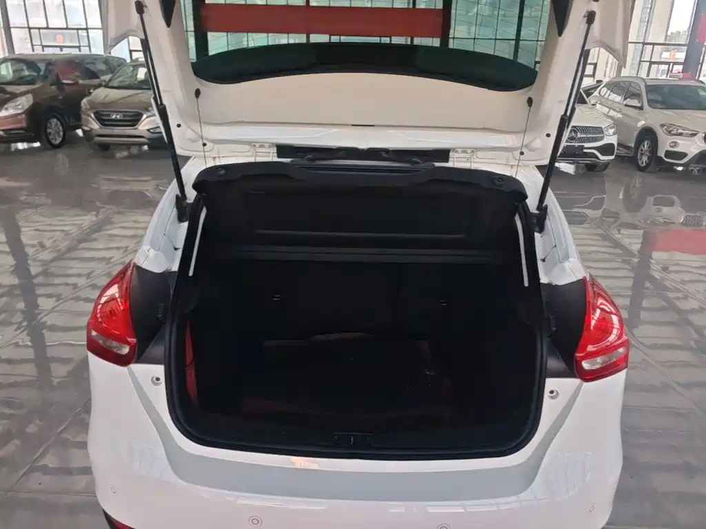 Ford Focus — миниатюра 19