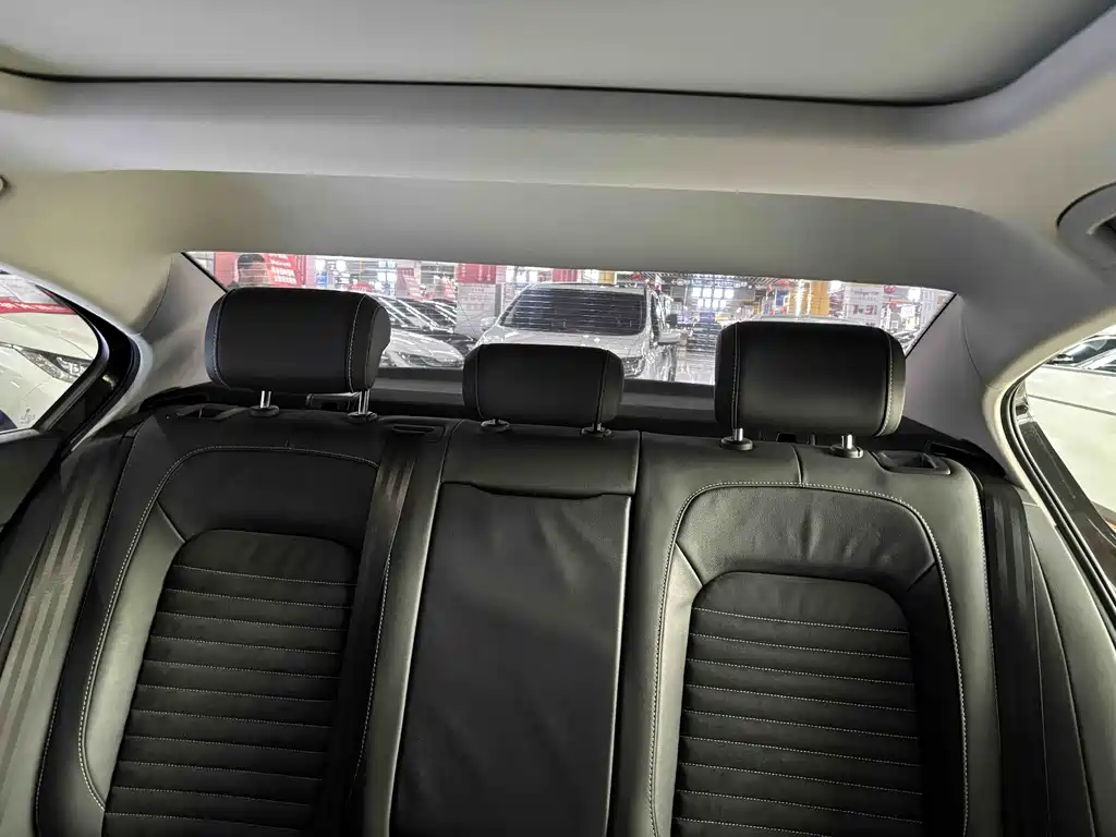 Volkswagen Magotan 2020 330TSI DSG Luxury