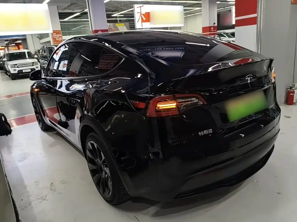 Tesla Model Y — миниатюра 5