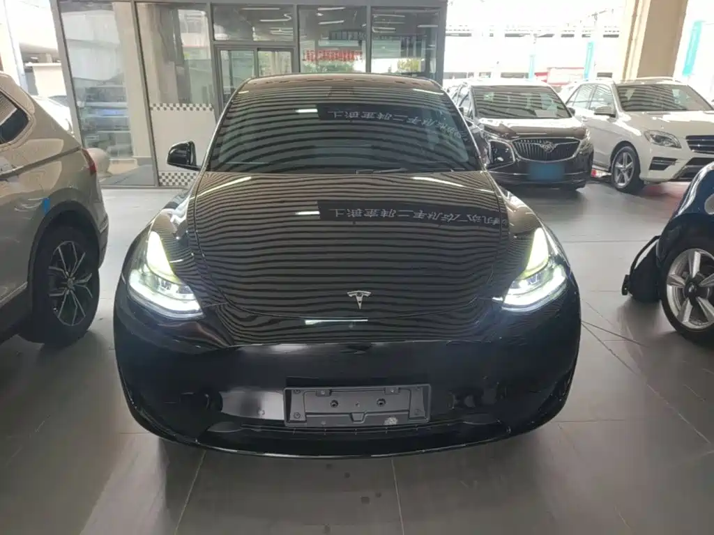 Tesla Model Y — миниатюра 3