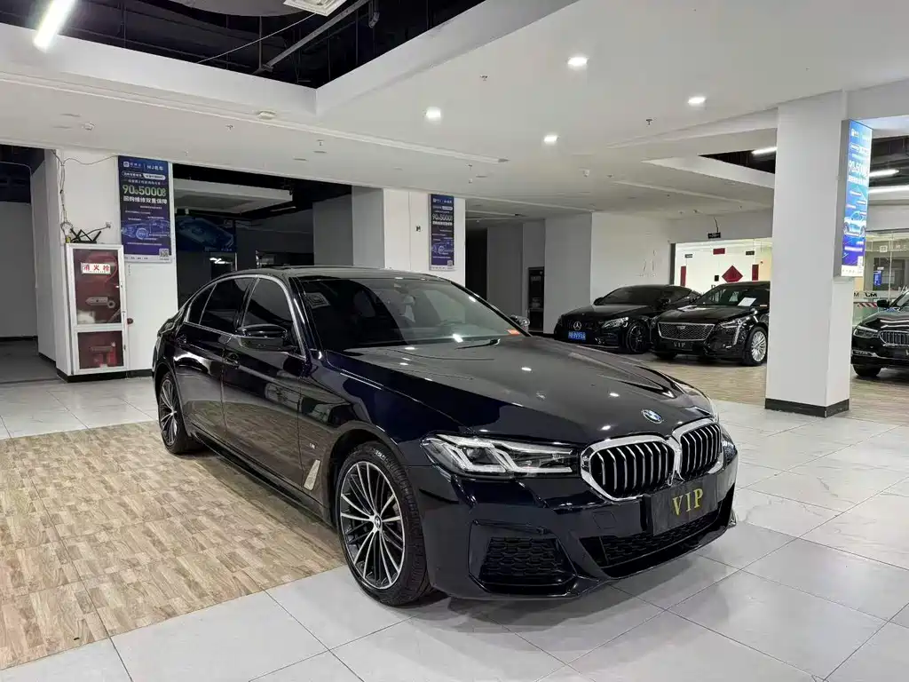 BMW 5 Series — миниатюра 3