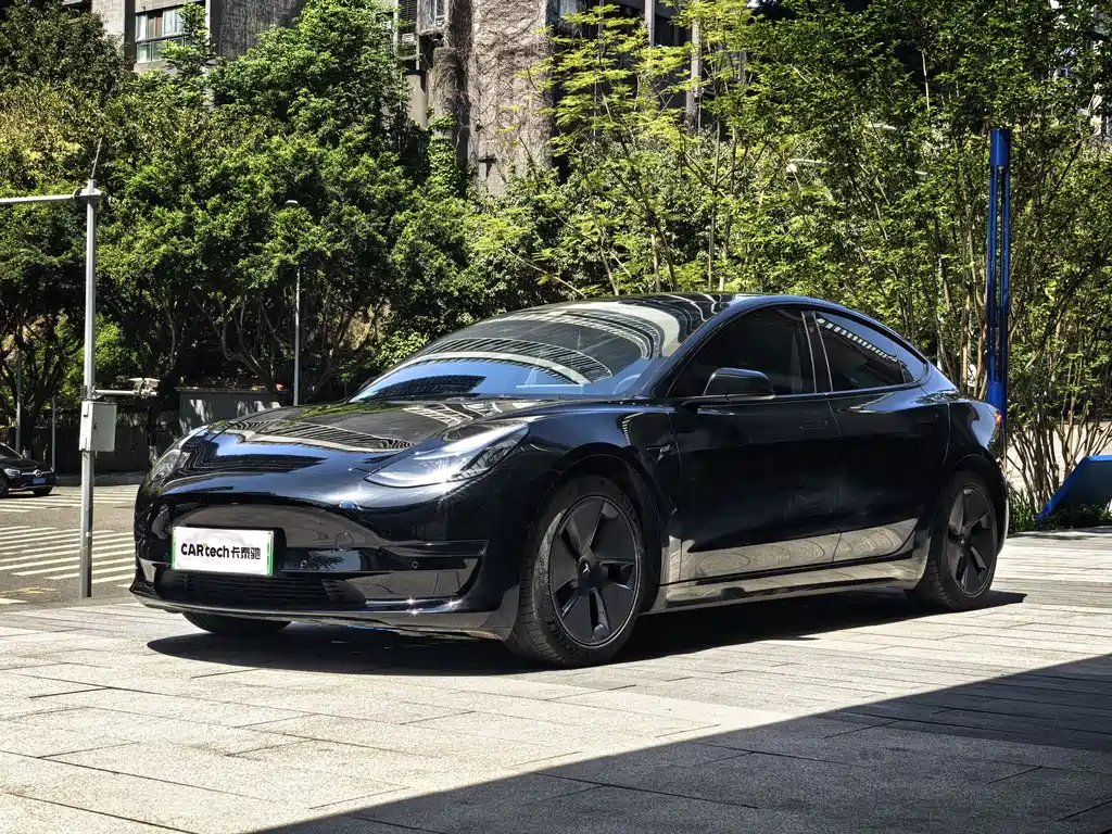 Tesla Model 3 2021