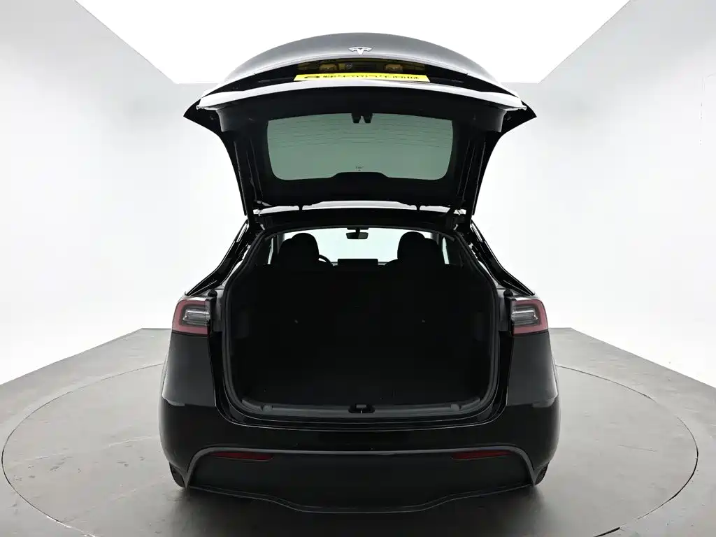 Tesla Model Y — миниатюра 10
