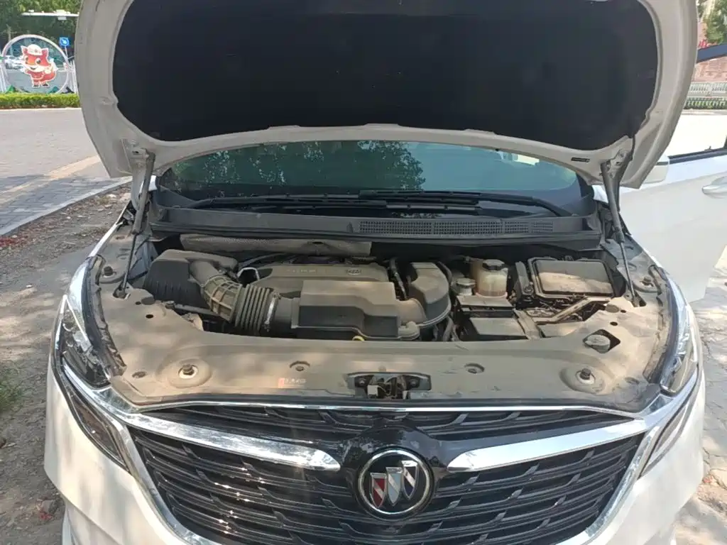Buick GL8 — миниатюра 20