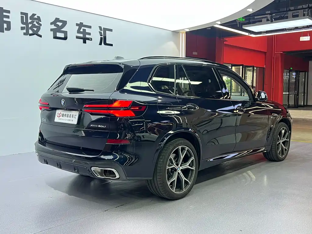 BMW X5 — миниатюра 15