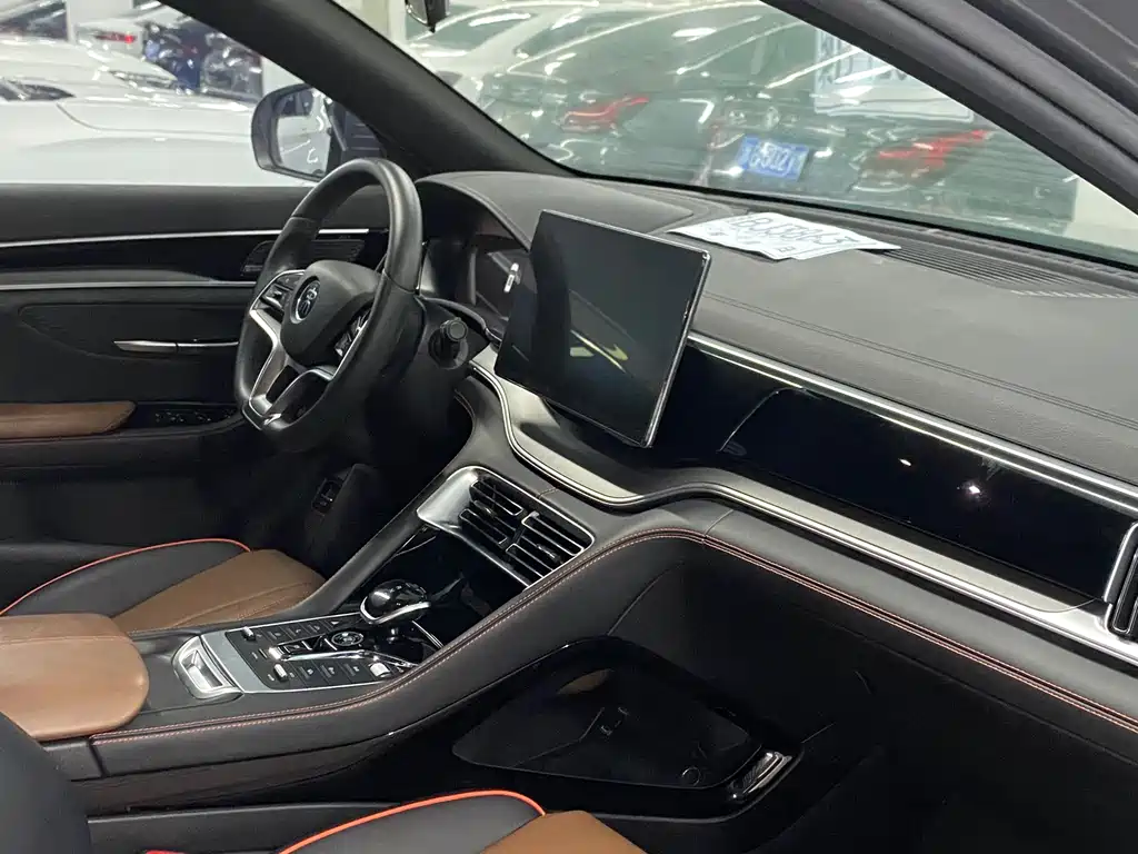 BYD PLUS — миниатюра 4