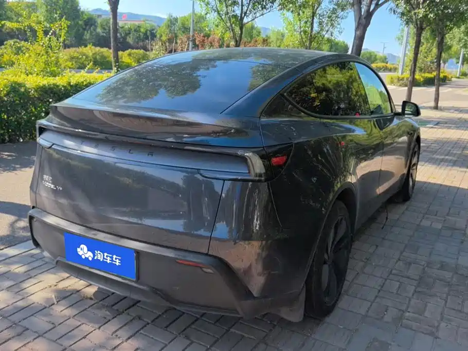Tesla Model Y — миниатюра 3
