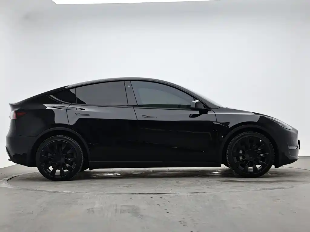 Tesla Model Y — миниатюра 6