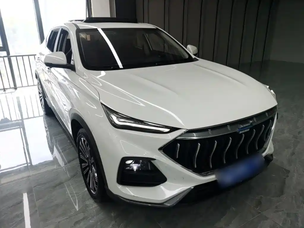 Oshan Oushang X5 — миниатюра 4
