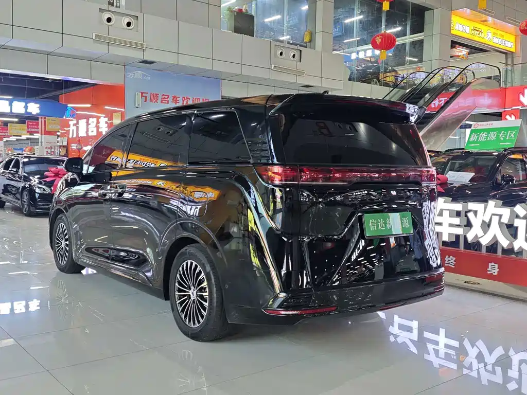 Denza Denza D9 — миниатюра 20