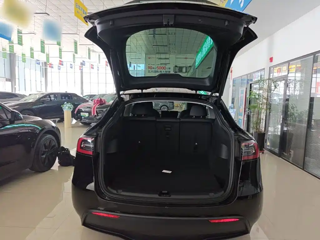 Tesla Model Y — миниатюра 19