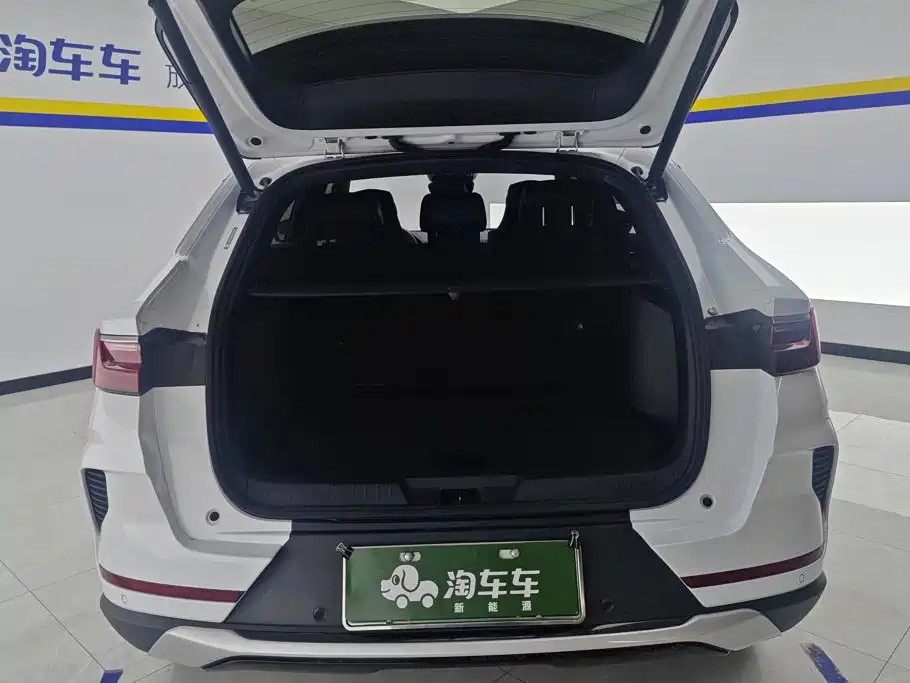 BYD PLUS New Energy — миниатюра 4