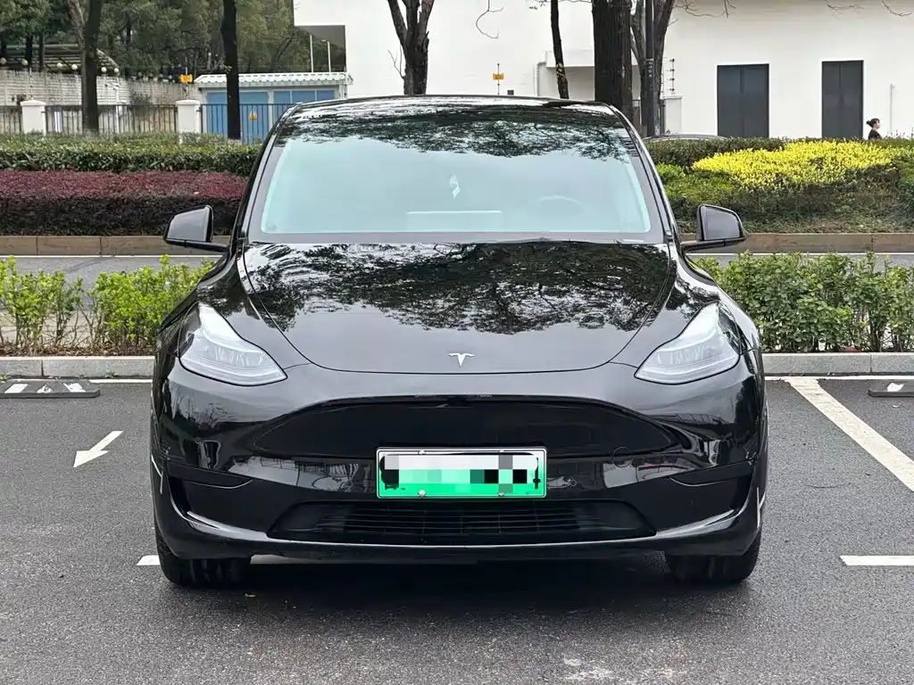 Tesla Model Y — миниатюра 2