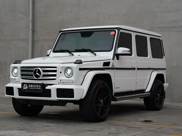 MERCEDES-BENZ  G CLASS 2018