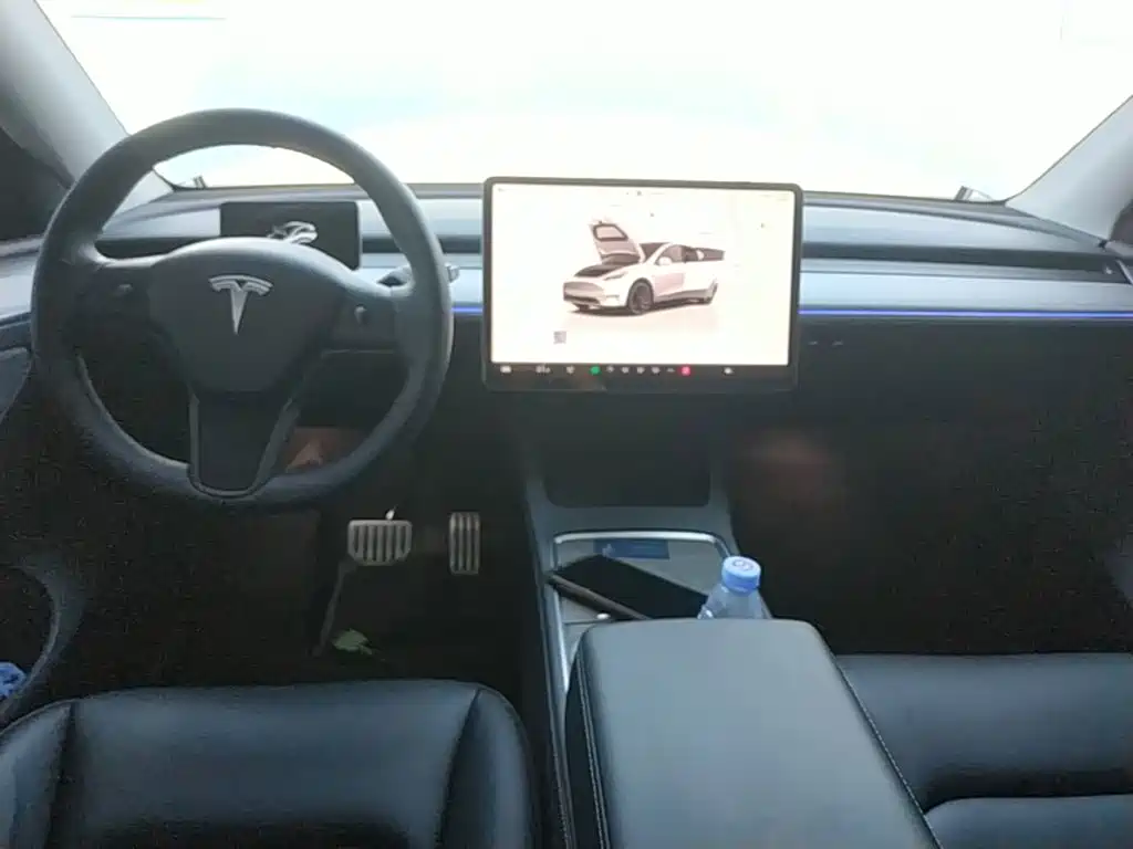 Tesla Model Y — миниатюра 10