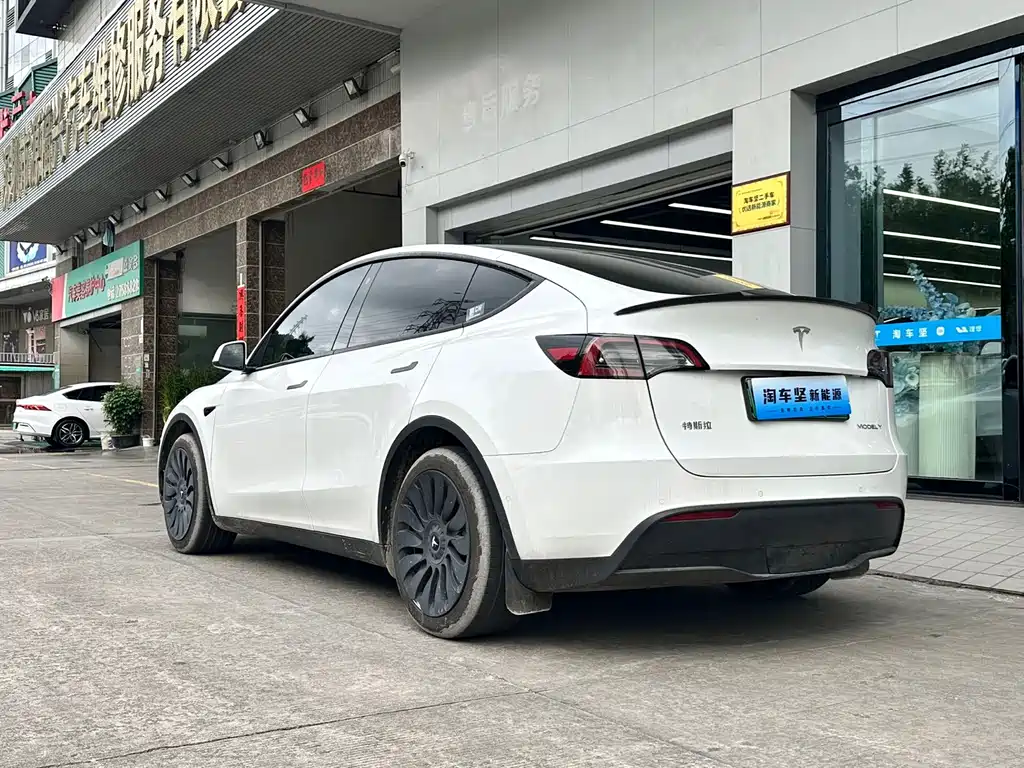 Tesla Model Y — миниатюра 3