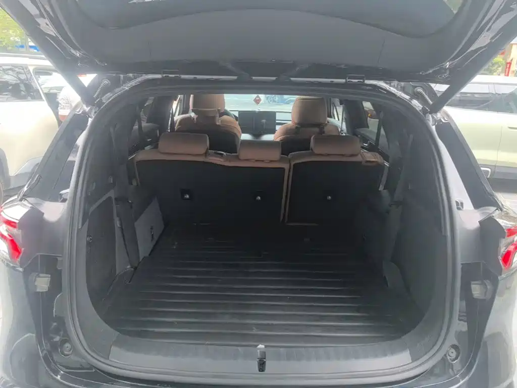 BYD Tang New Energy — миниатюра 15