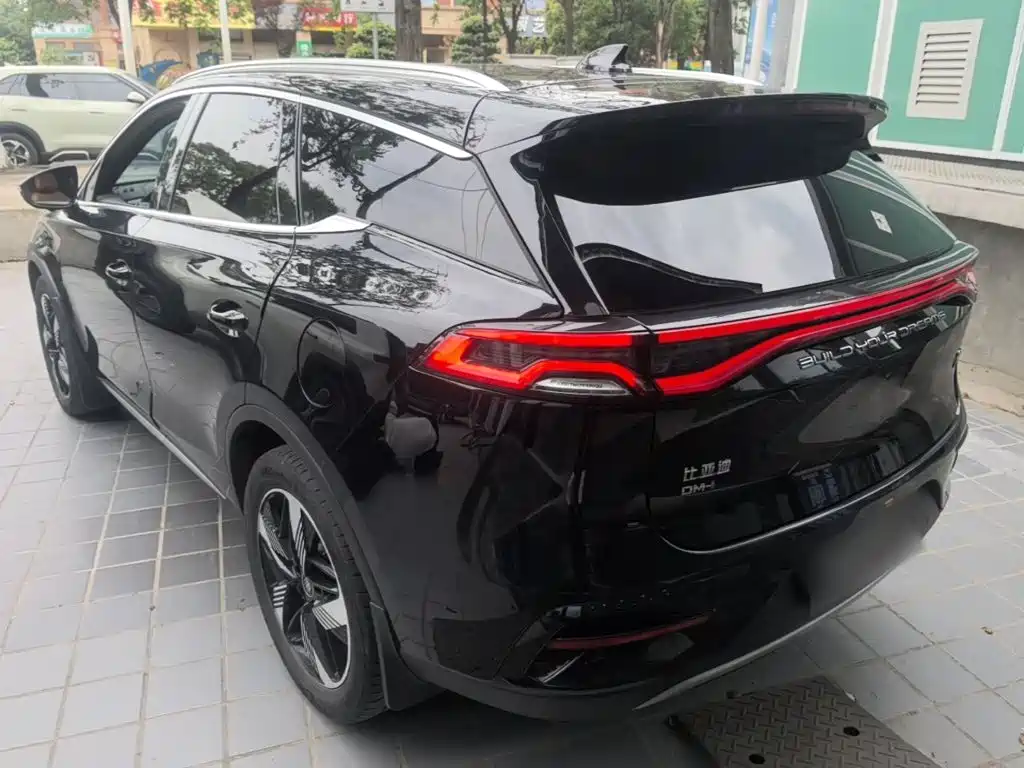 BYD Tang New Energy — миниатюра 23