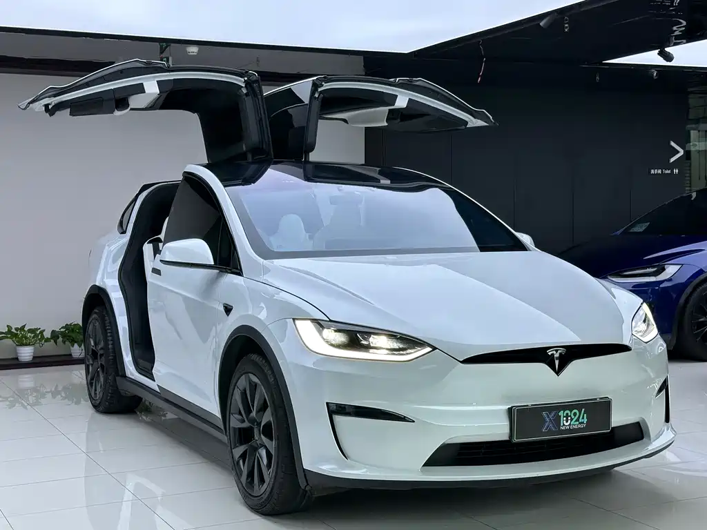 Tesla Model X — миниатюра 3