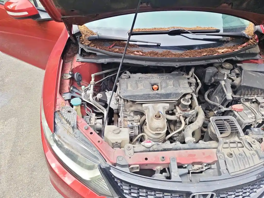 Honda Jade — миниатюра 21