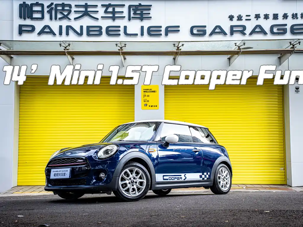 Mini Mini 2014
