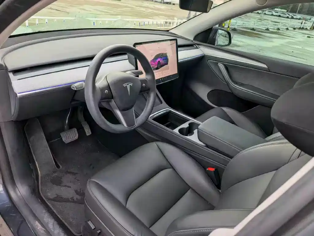 Tesla Model Y — миниатюра 9