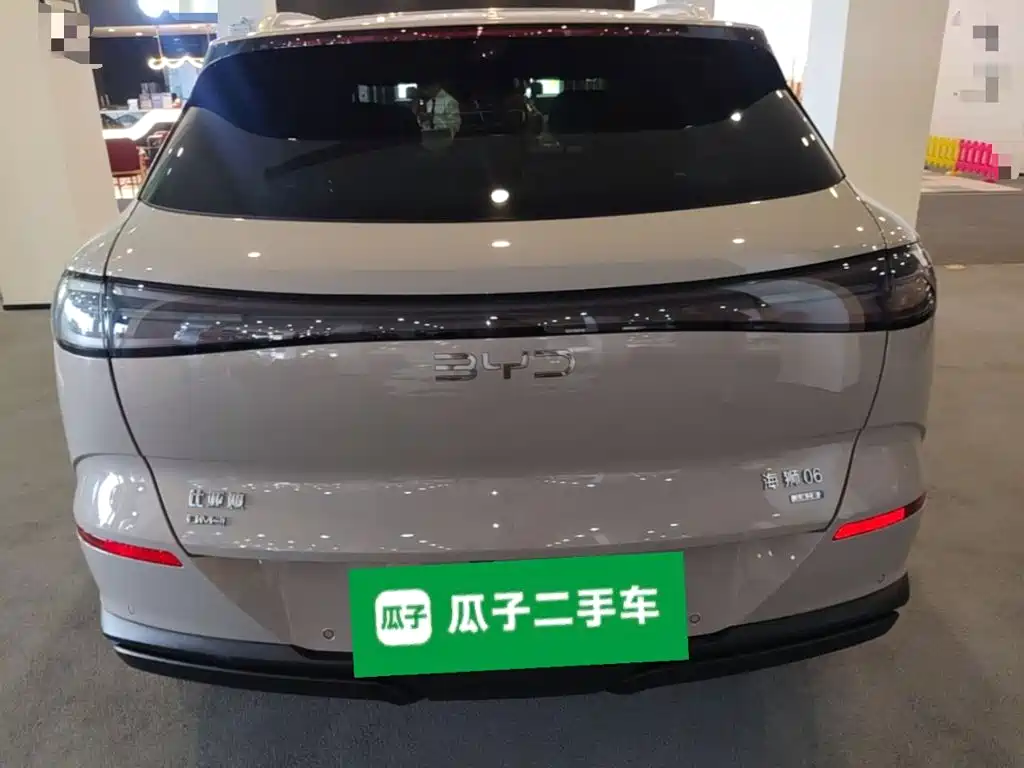 BYD Haisi 06 — миниатюра 6