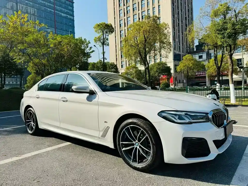 BMW 5 Series — миниатюра 3
