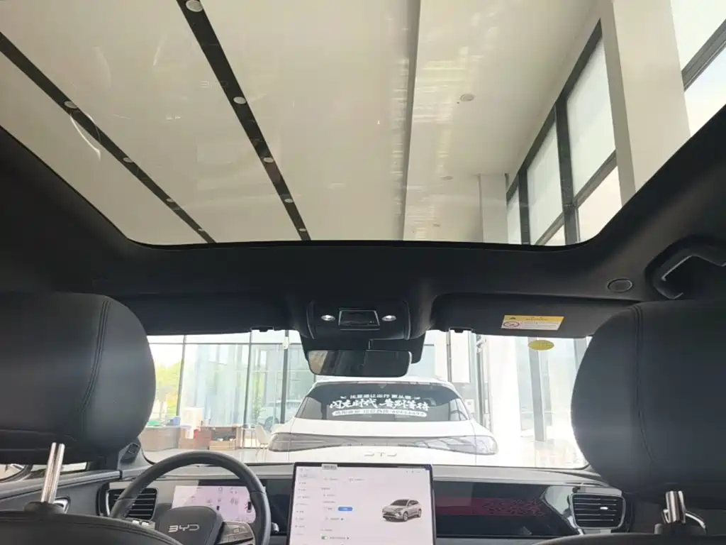 BYD Haisi 06 — миниатюра 18