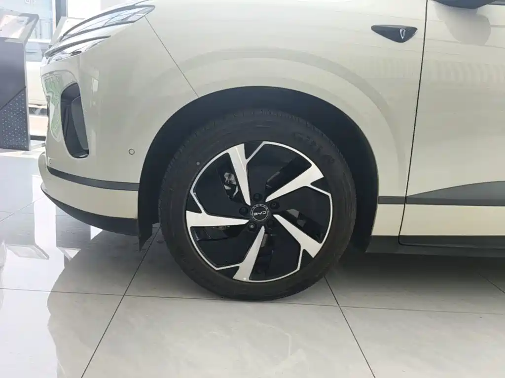 BYD Haisi 06 — миниатюра 23