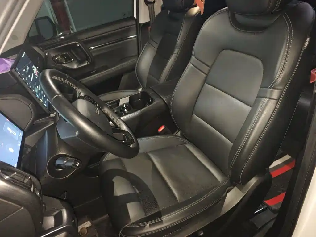 Haval Big Dog PLUS New Energy — миниатюра 9