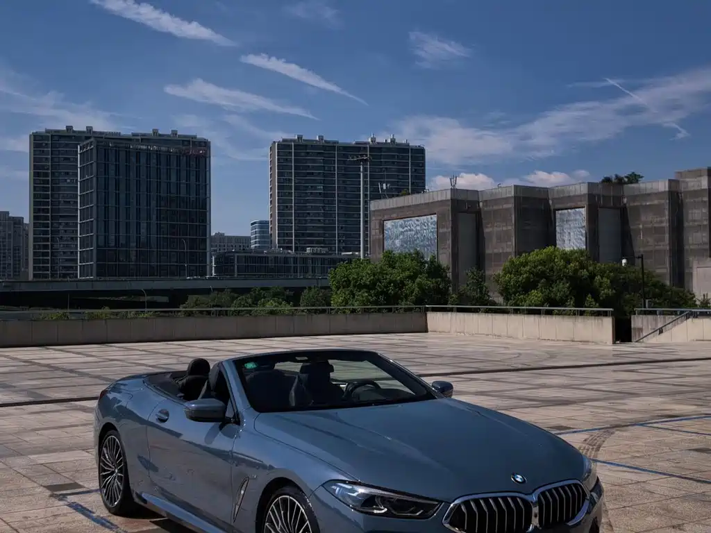 BMW 8 Series — миниатюра 4