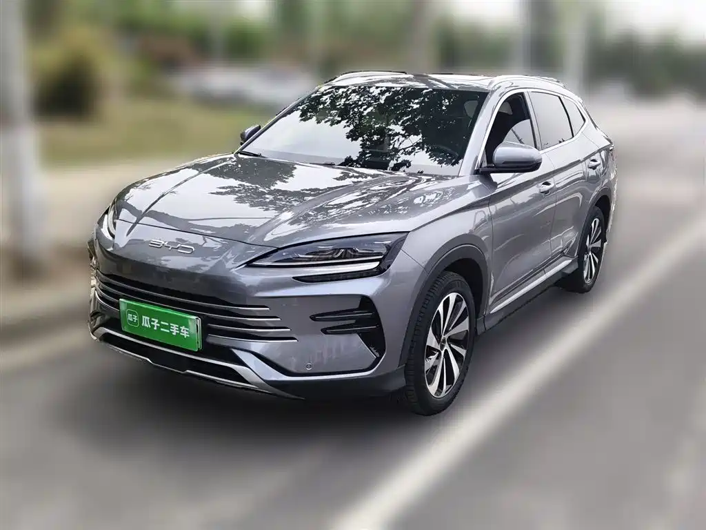 Byd PLUS New Energy 2024