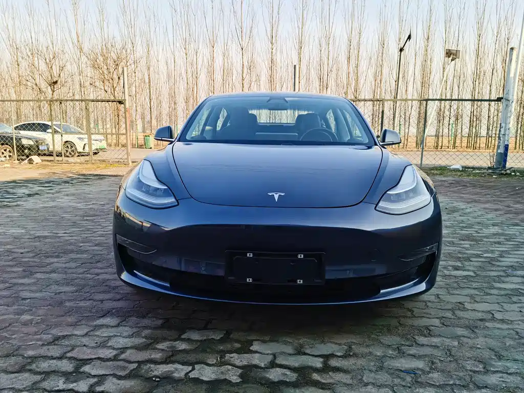 Tesla Model 3 2019 Performance