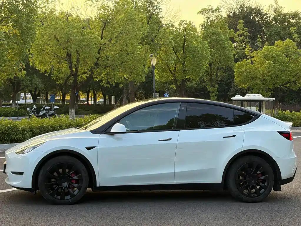 Tesla Model Y — миниатюра 4