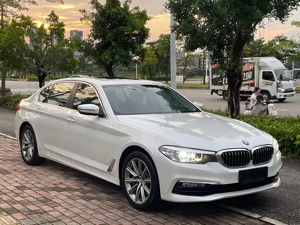 BMW 5 Series 5 2018 528Li