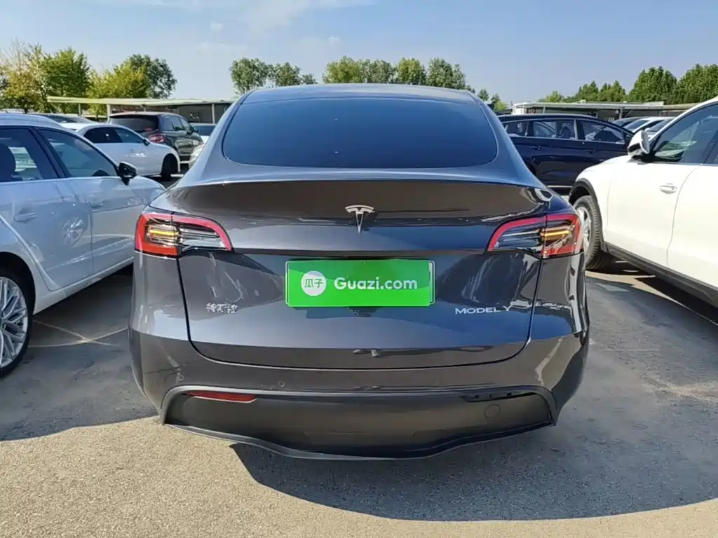 Tesla Model Y — миниатюра 6