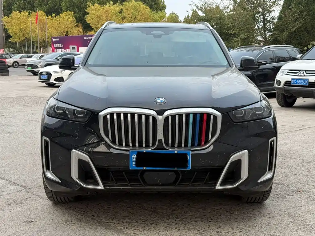 BMW X5 — миниатюра 2