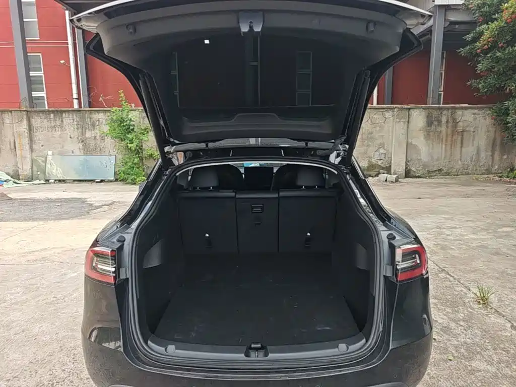 Tesla Model Y — миниатюра 19