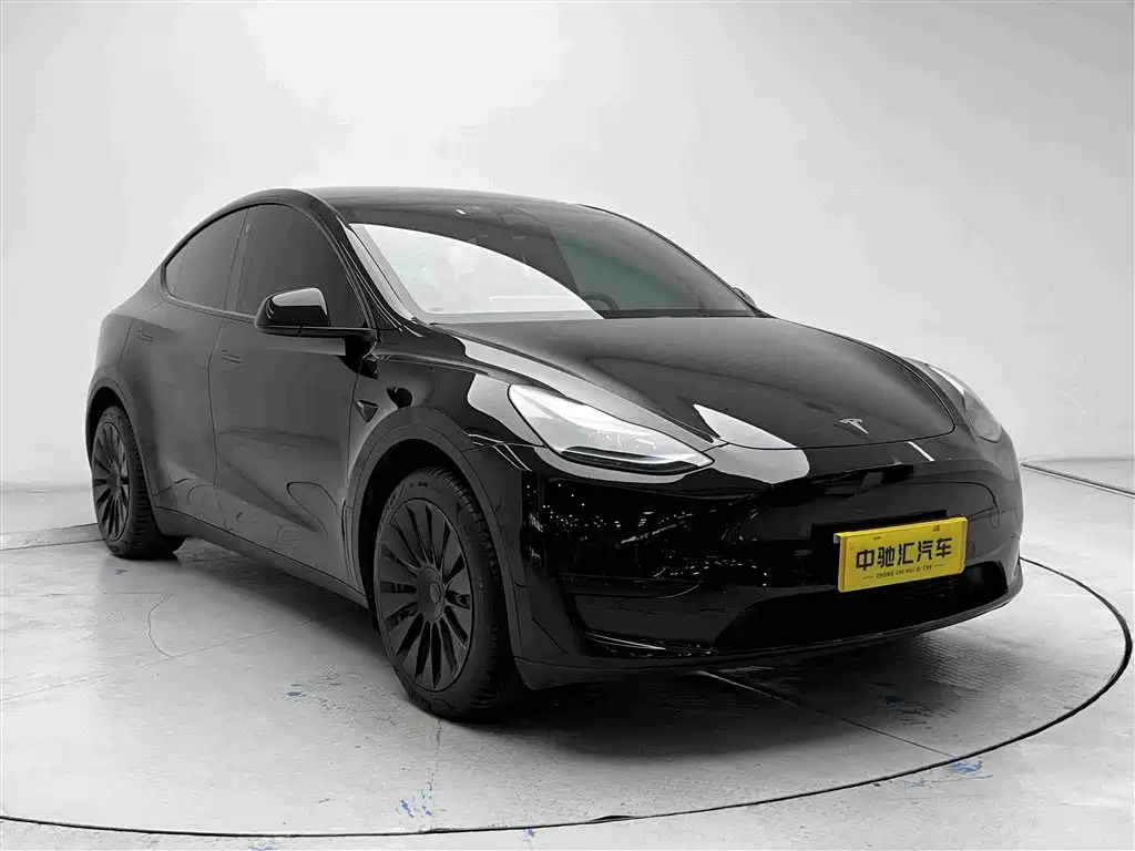 Tesla Model Y — миниатюра 3