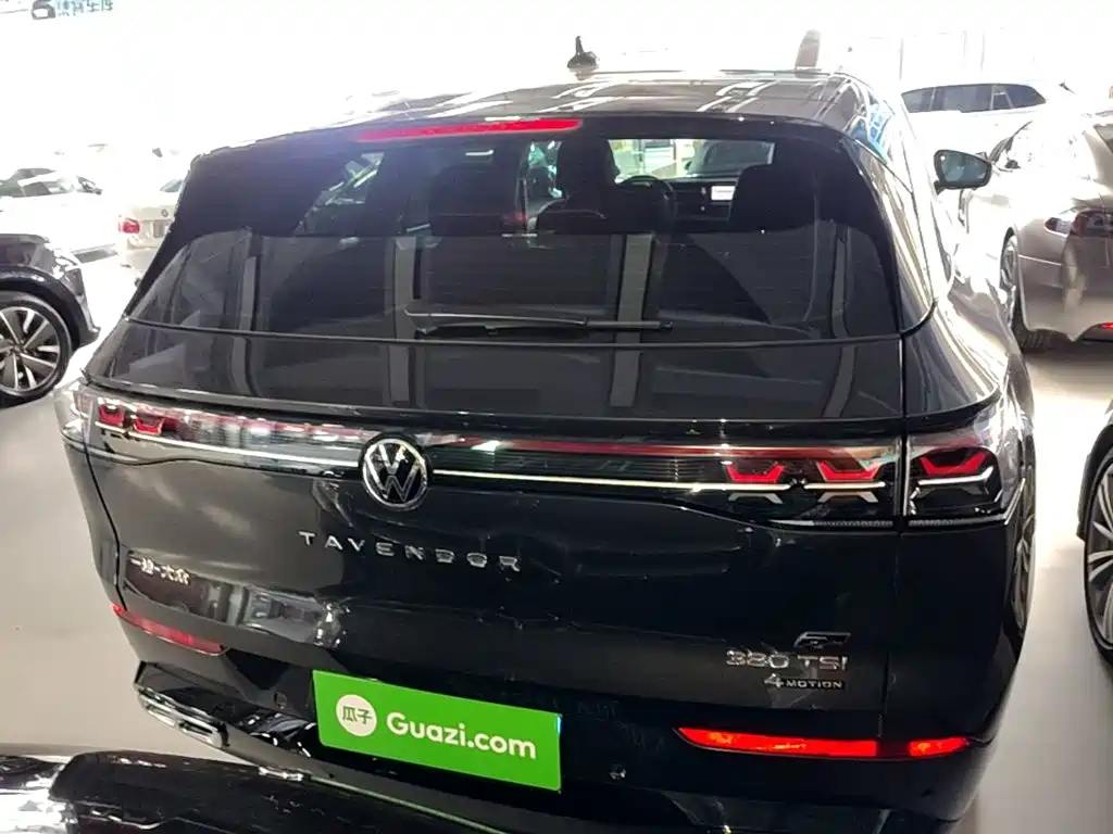 Volkswagen Tavendor — миниатюра 6