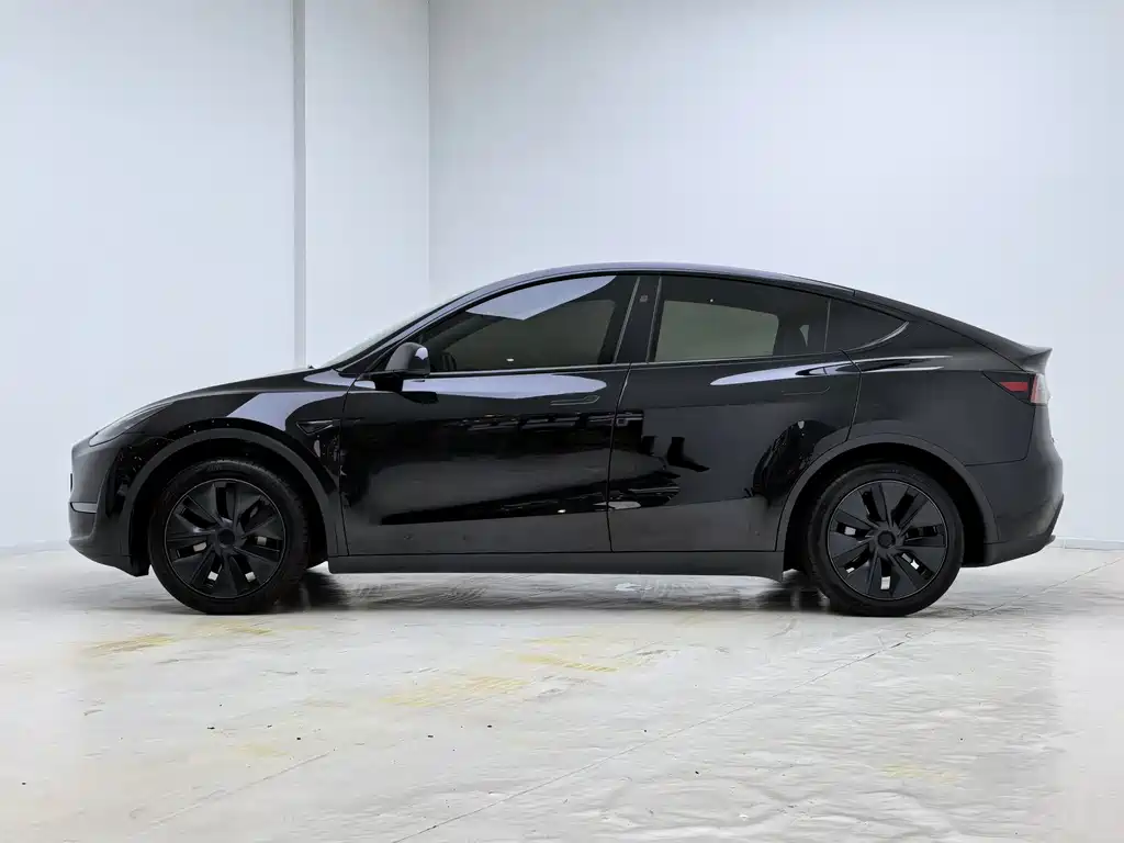 Tesla Model Y — миниатюра 5
