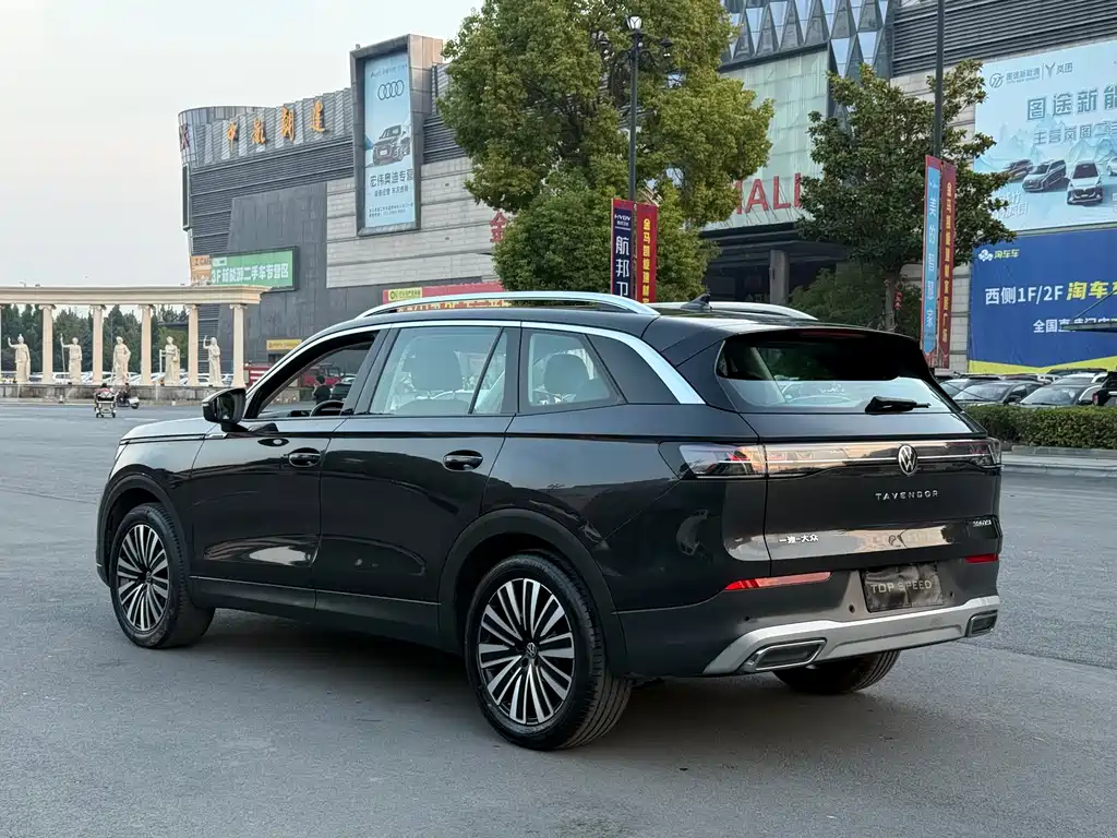 Volkswagen Tavendor — миниатюра 8
