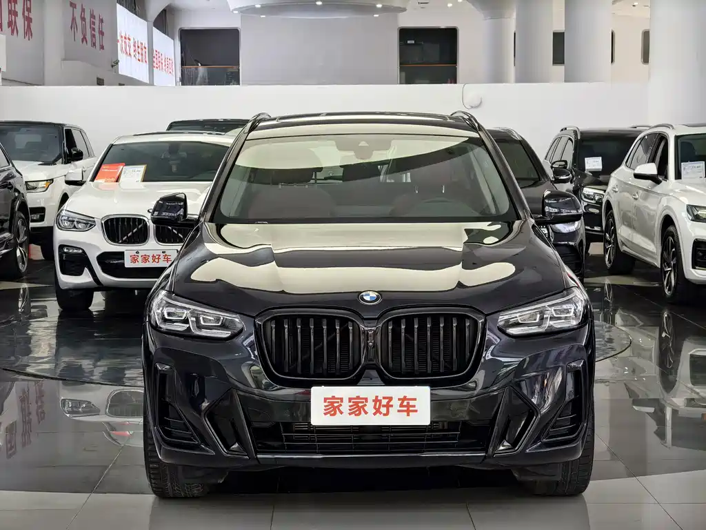 BMW X3 — миниатюра 2