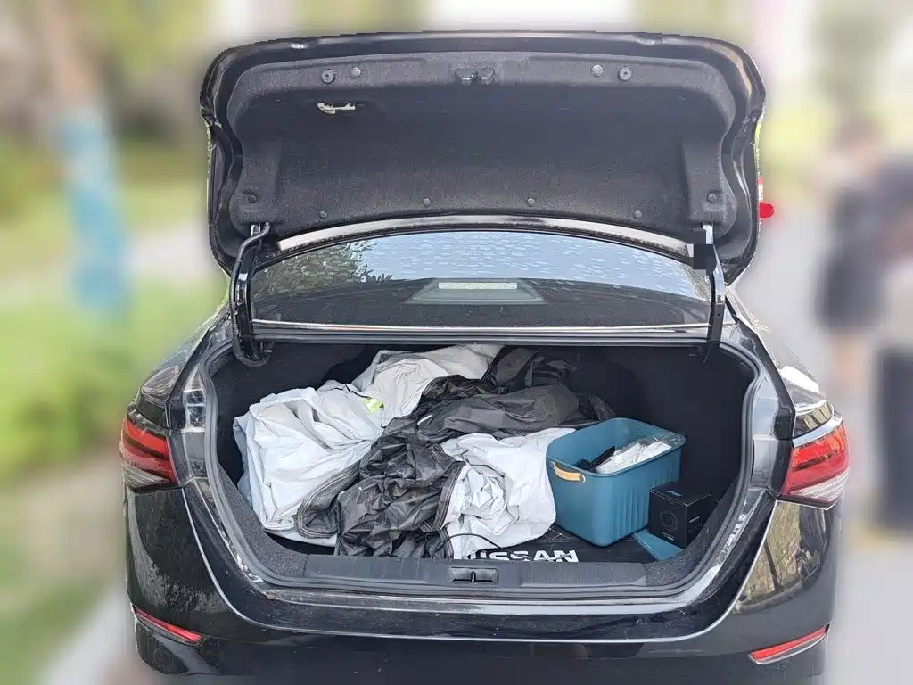 Nissan Sylphy — миниатюра 15