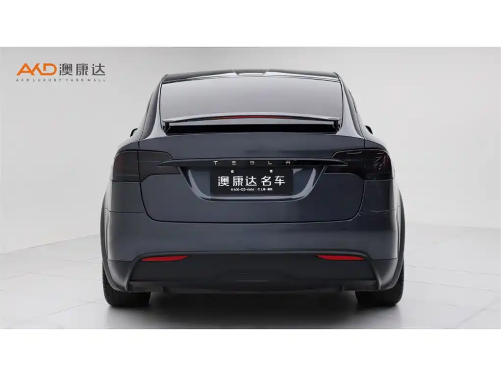 Tesla Model X — миниатюра 4