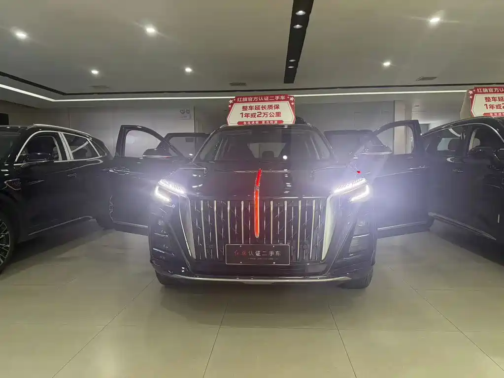 Hongqi Hongqi HS3 — миниатюра 10
