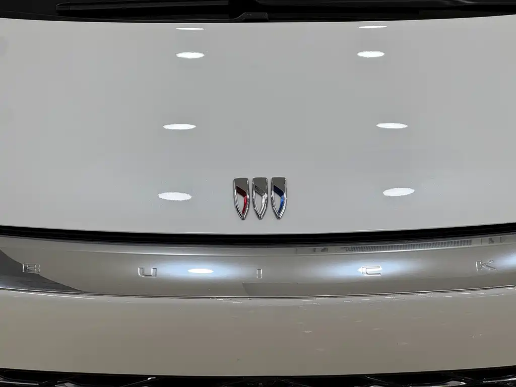 Buick Century — миниатюра 11