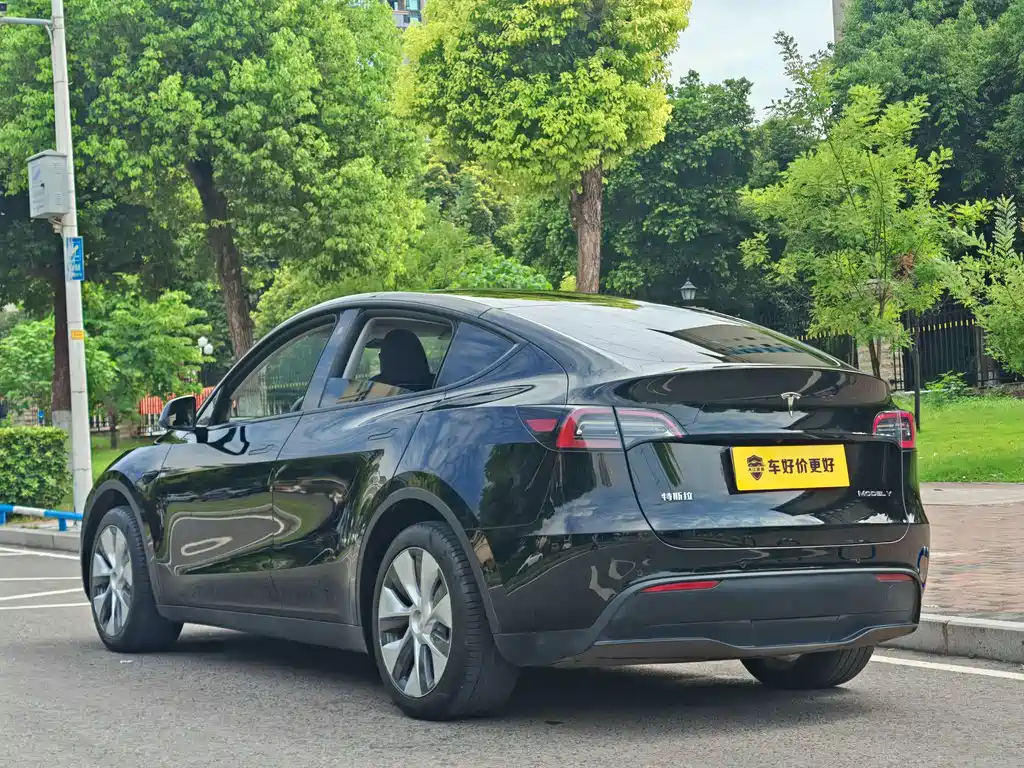 Tesla Model Y — миниатюра 12
